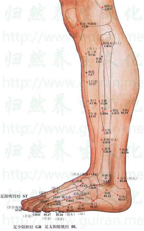 邱墟穴|醫砭 » 經穴庫 » 丘墟